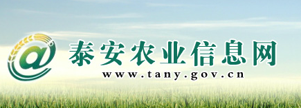 泰安农业信息网
