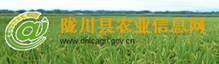 陇川县农业信息网