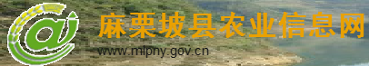 麻栗坡县农业信息网